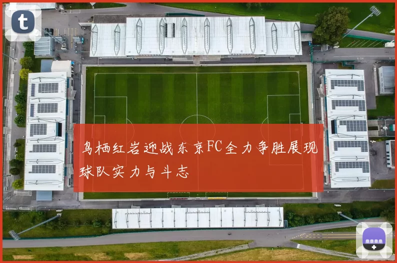 鸟栖红岩迎战东京FC全力争胜展现球队实力与斗志
