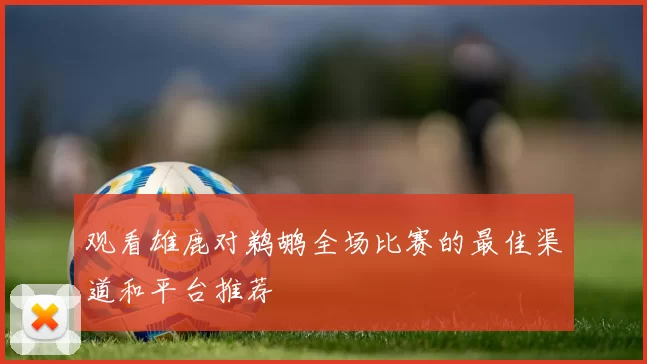 观看雄鹿对鹈鹕全场比赛的最佳渠道和平台推荐