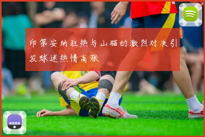 印第安纳狂热与山猫的激烈对决引发球迷热情高涨